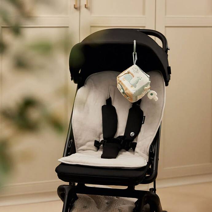 Accessoires poussette