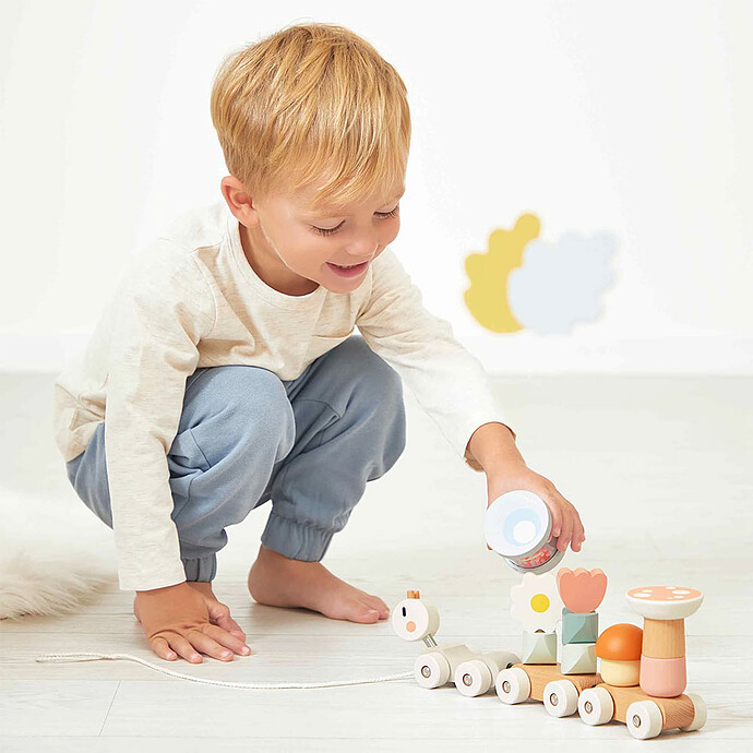 Mes premiers jouets