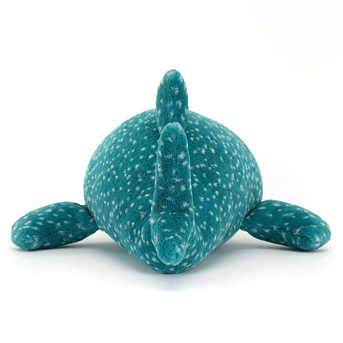 Avis Gobfrey Whale Shark