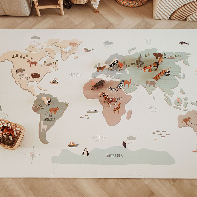 Avis Tapis de Jeux Réversible TILOO - Worldmap