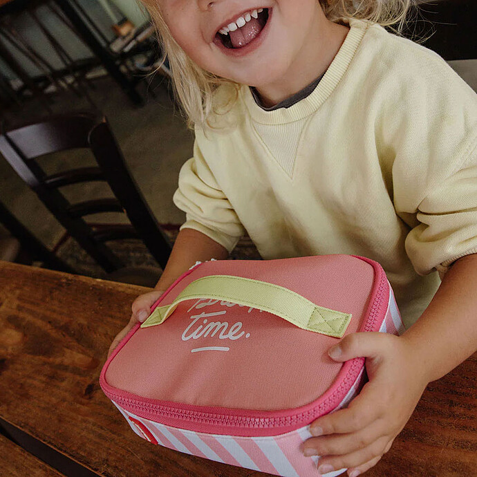 Avis Lunch Bag - Pink Stripes