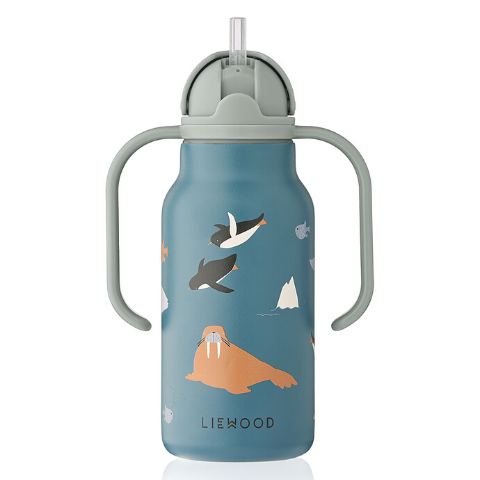 Gourde avec Poignées Kimmie Arctic Sea Ocean View - 250 ml Liewood