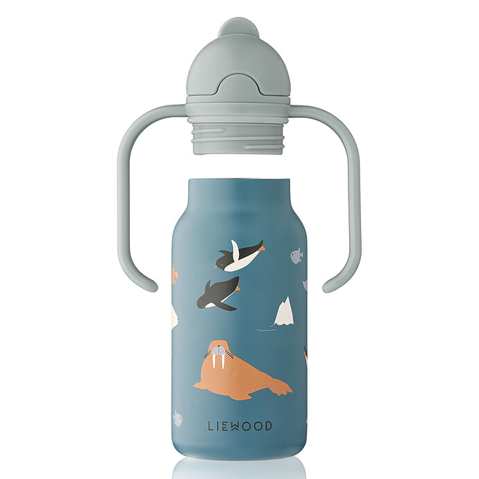 Avis Gourde avec Poignées Kimmie Arctic Sea Ocean View - 250 ml