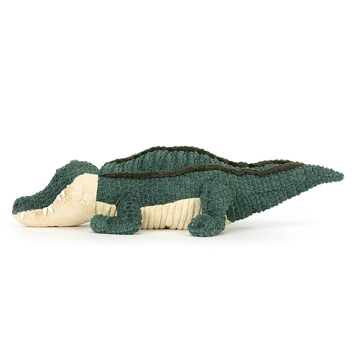 Avis Allexi Alligator