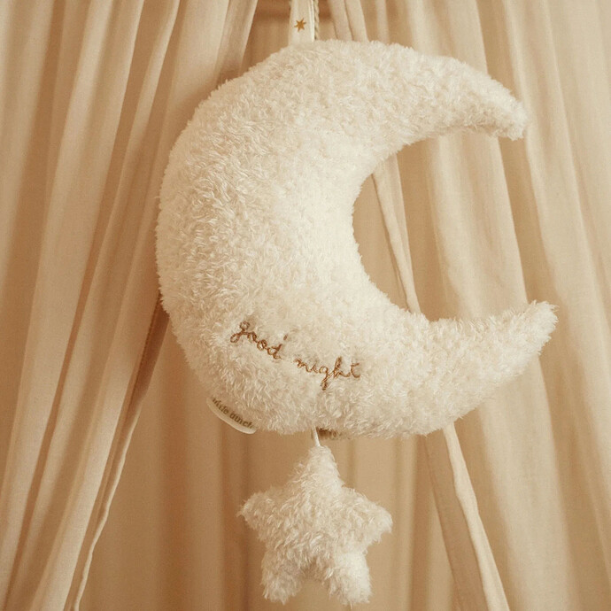 Avis Boîte à Musique Lune et Etoile - Newborn