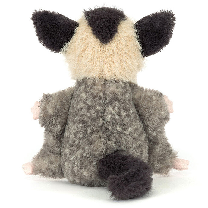 Avis Lolly Sugar Glider