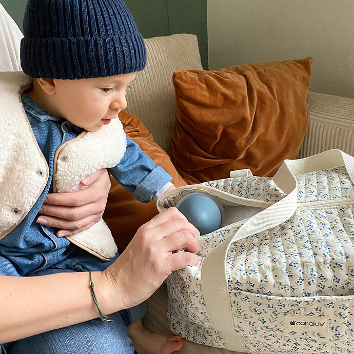 Avis Sac à Langer - Blueberry