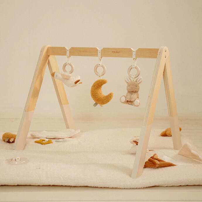 Avis Arche d'Eveil en Bois - Newborn
