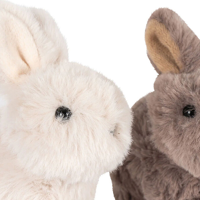 Avis Bébés Lapins - Multi