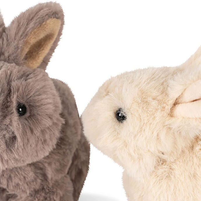 Achat Bébés Lapins - Multi
