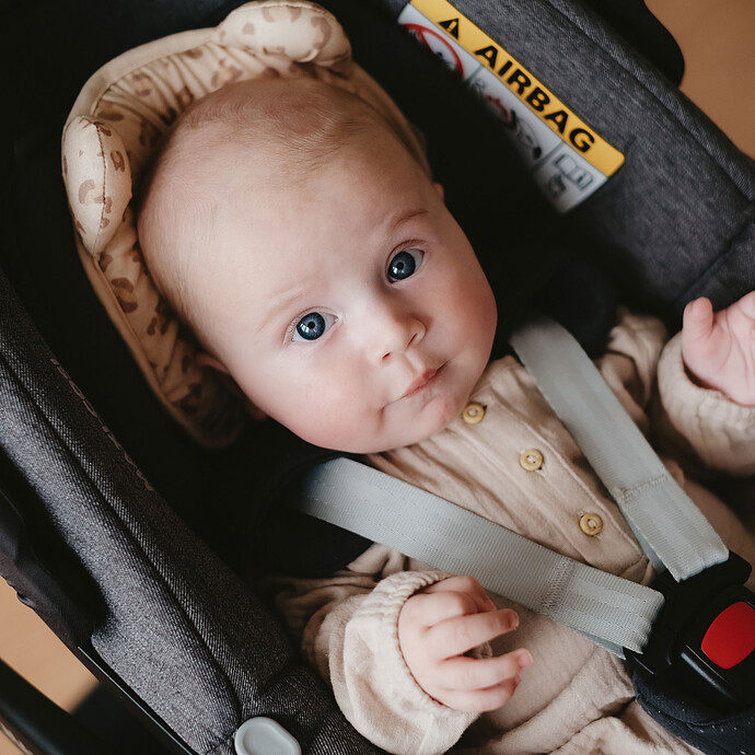 Cale-bébé P'tit Panda - Léopard pas cher