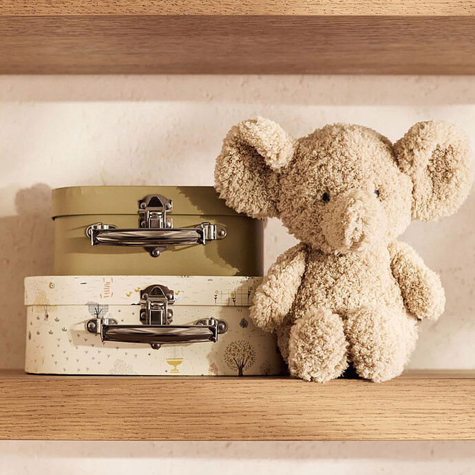 Avis Lot de 2 Valisettes à Jouets - Tiny Park
