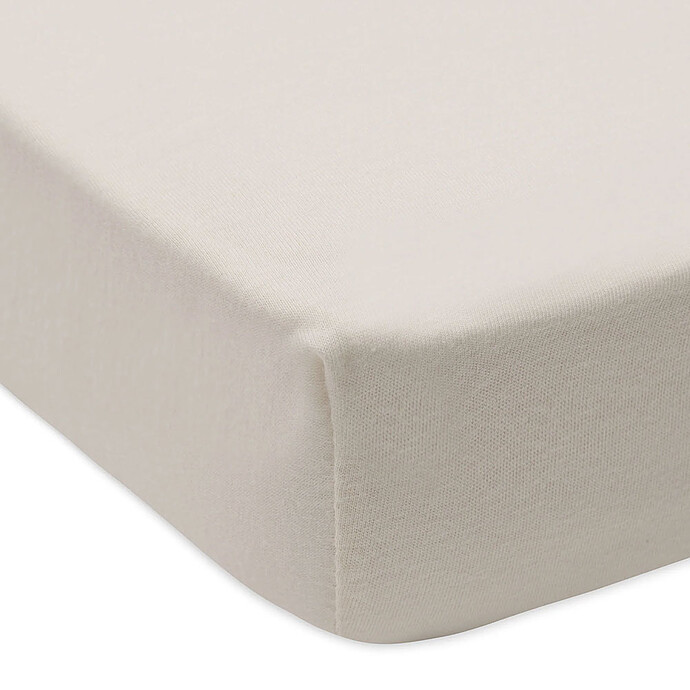 Achat Lot de 2 Draps Housse Jersey Sea Green & Ivory - 60 x 120 cm