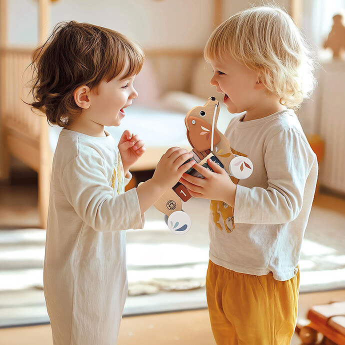 Mes premiers jouets