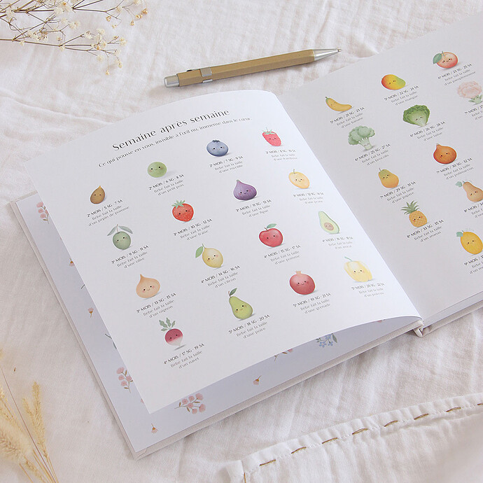 Achat Journal de Grossesse et Post-partum
