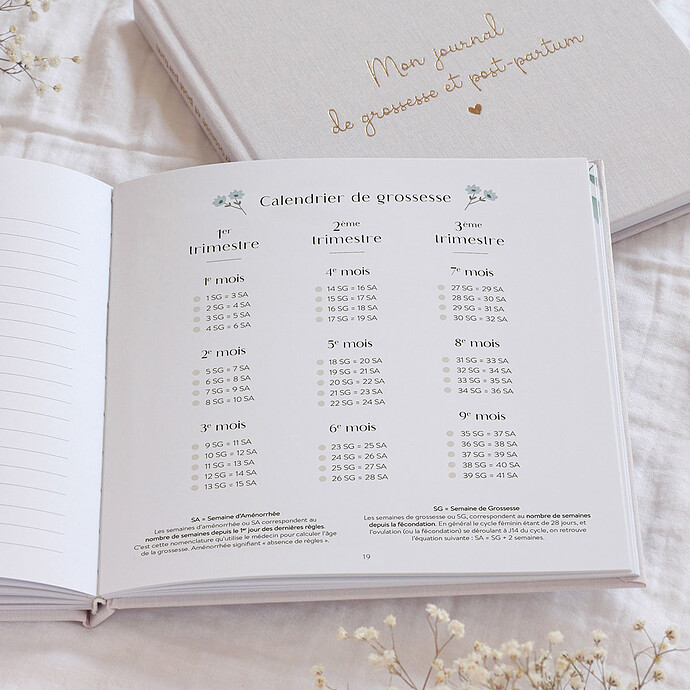 Journal de Grossesse et Post-partum pas cher