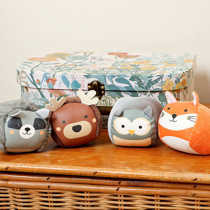 Mes premiers jouets