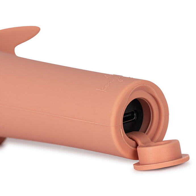 Achat Lampe de Poche Dragon - Raspberry 