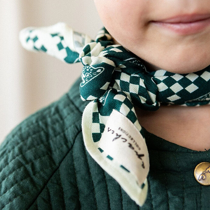 Avis Small Foulard Manika Tigro - Forest