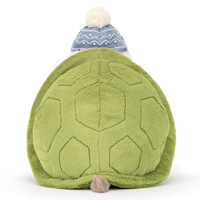 Avis Timmy Turtle Skating