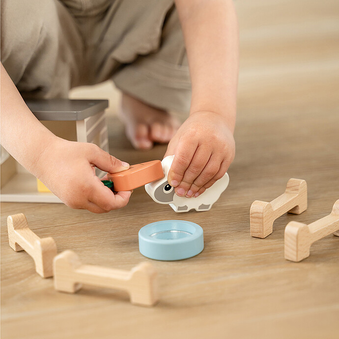 Avis Coffret de Jeux Tiny Farm - Sheepy