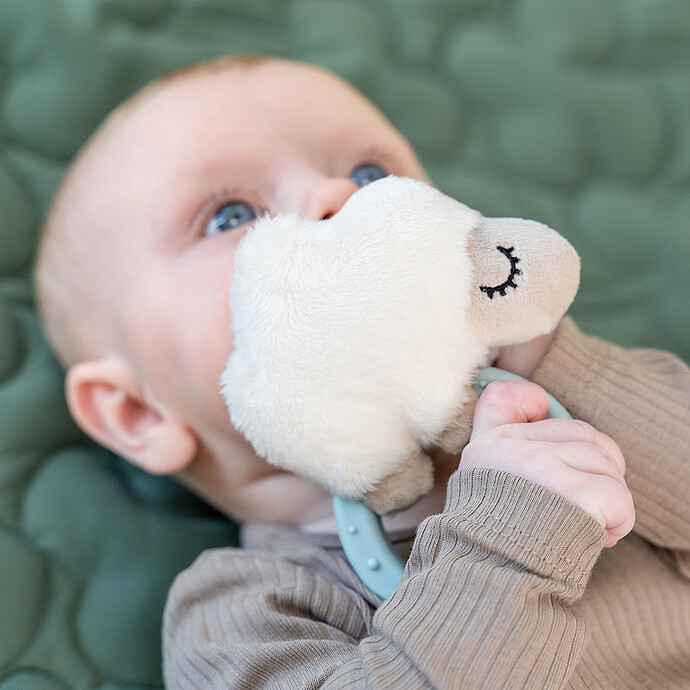 Avis Hochet avec Anneau de Dentition Sheepy - Bleu
