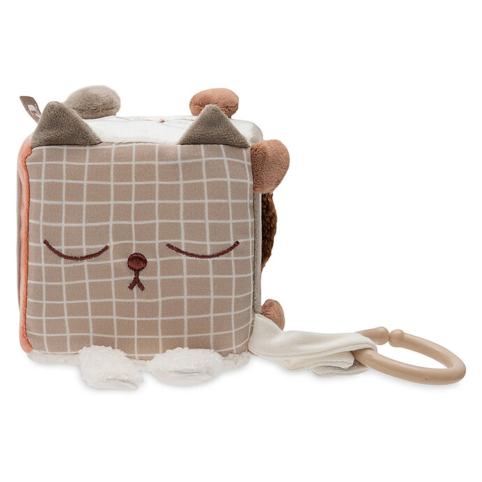 Cube d'Activités - Animal Friends pas cher