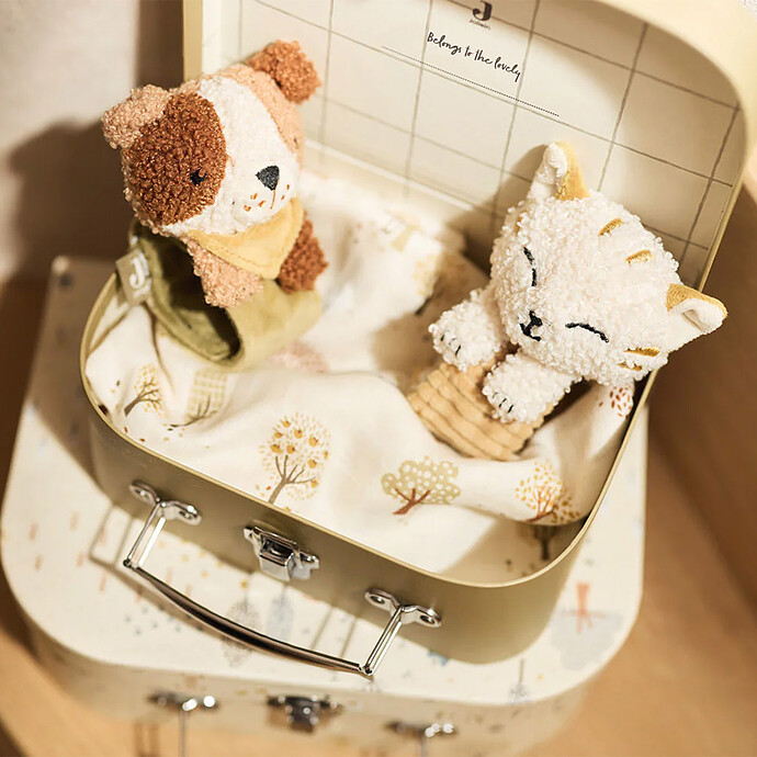 Avis Hochet Main et Pied - Charlie Cat