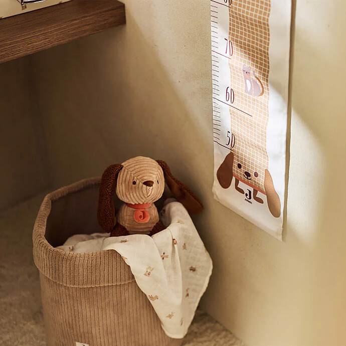 Peluche