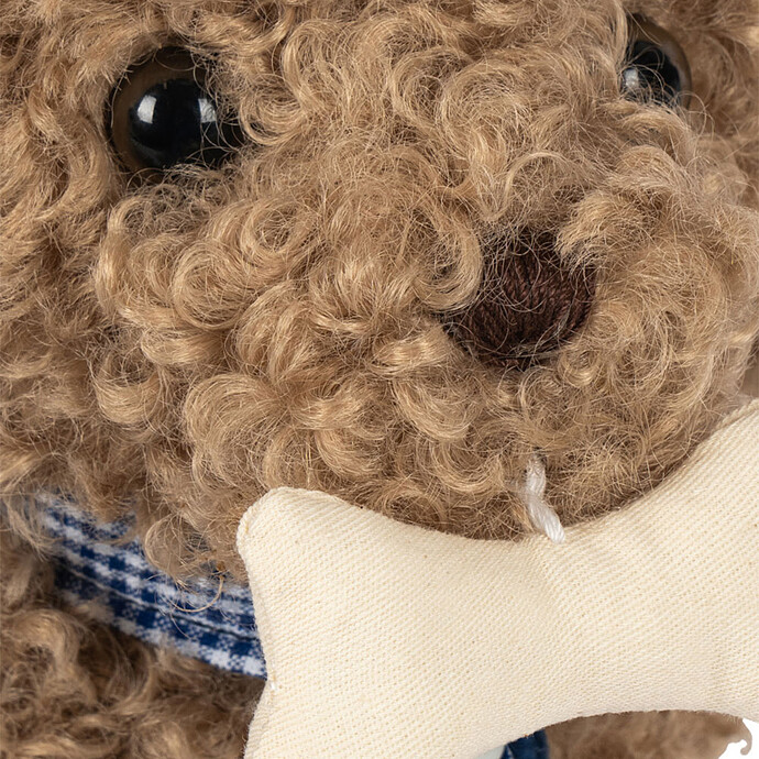 Achat Chiot Lulu - Multi