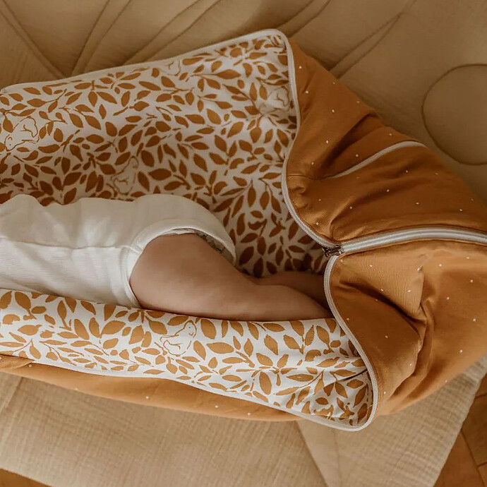 Gigoteuse Evolutive 4 Saisons Ourson - 18/36 Mois Les Petites Billes