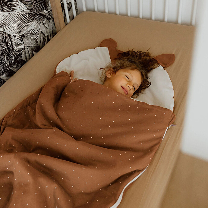 Avis Sac de Couchage 4 Saisons Ecureuil - 3/6 Ans