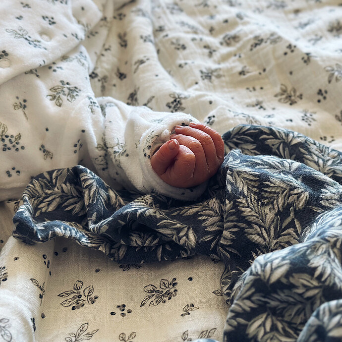 Lot de 2 Langes - Wild Sage Bonjour Little