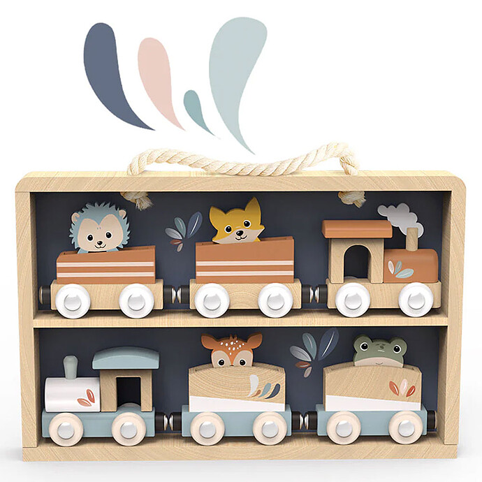 Coffret de 6 Trains Speedy Monkey