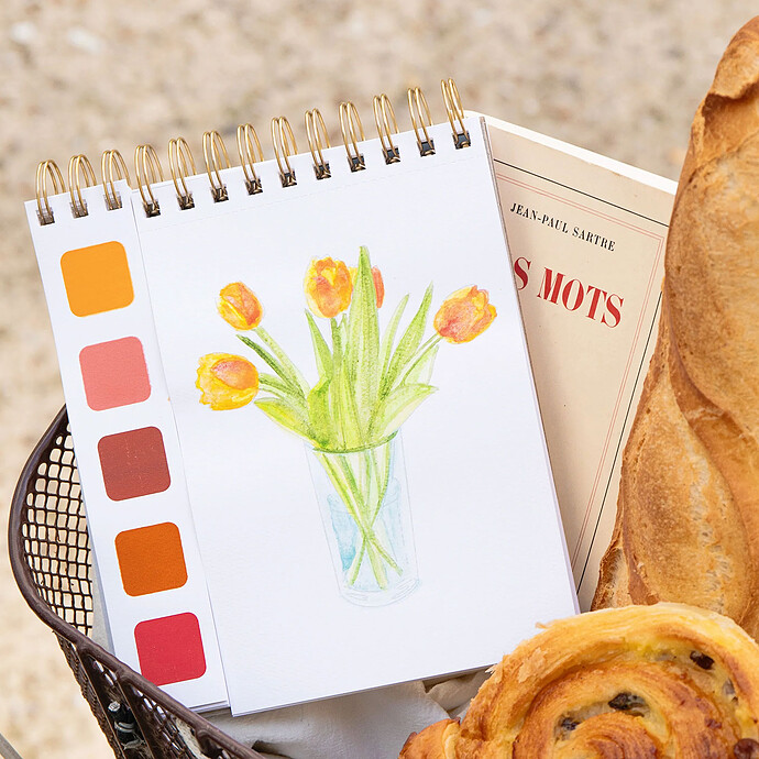 Avis Travel Book Carnet Aquarelle - Spring in Paris