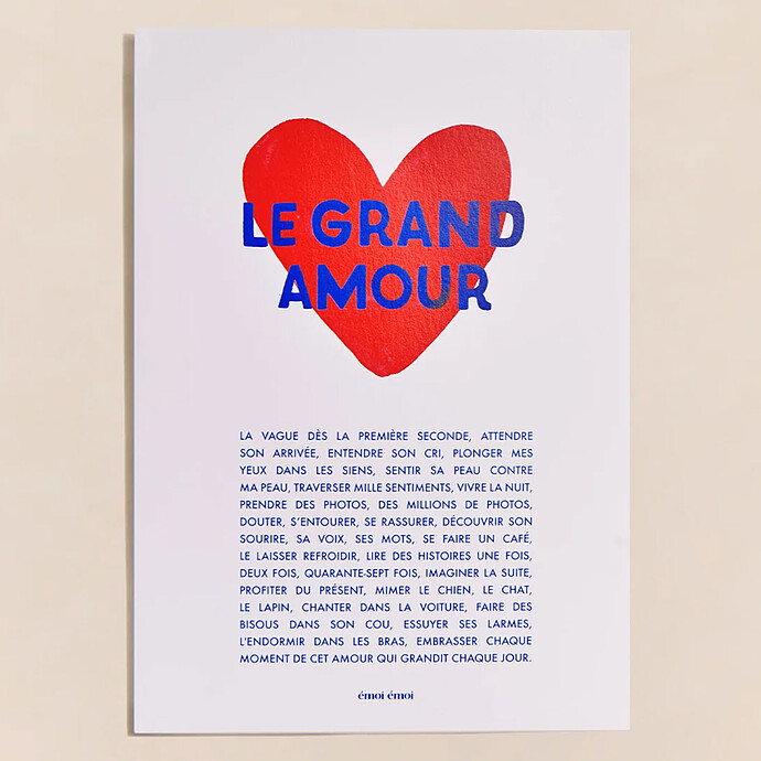 Affiche - Le Grand Amour émoi émoi