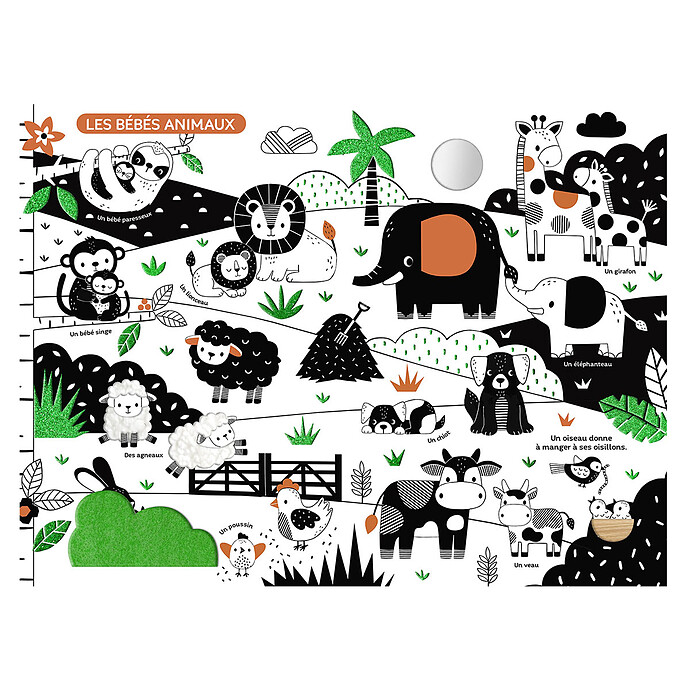 Mon Très Grand Livre d'Eveil - En Noir et Blanc Auzou