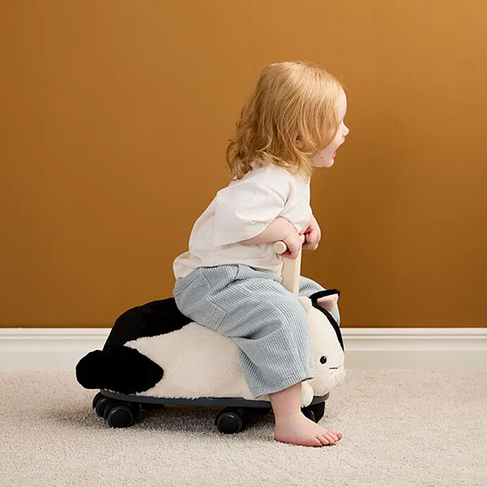 Avis Porteur Chat Sture