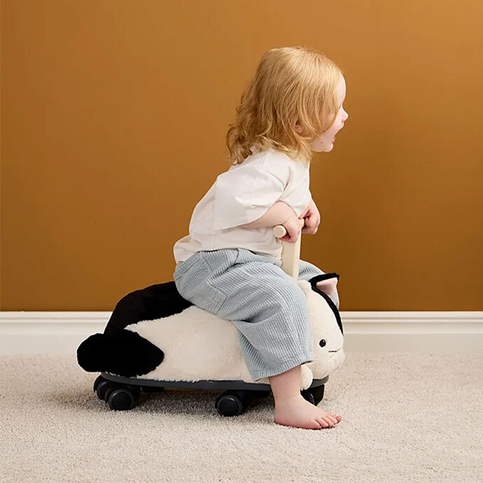 Porteur Chat Sture pas cher