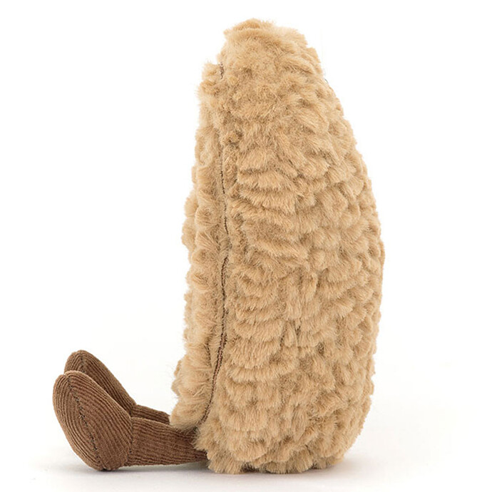 Avis Amuseables Philippe Palmier 