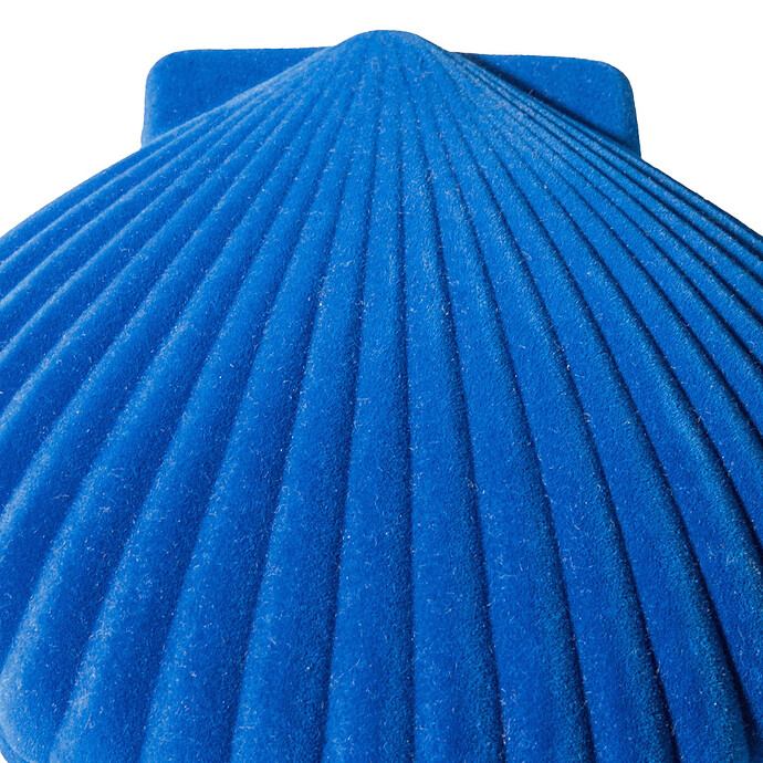 Achat Boîte à Bijoux Coquillage Venus - Bleu