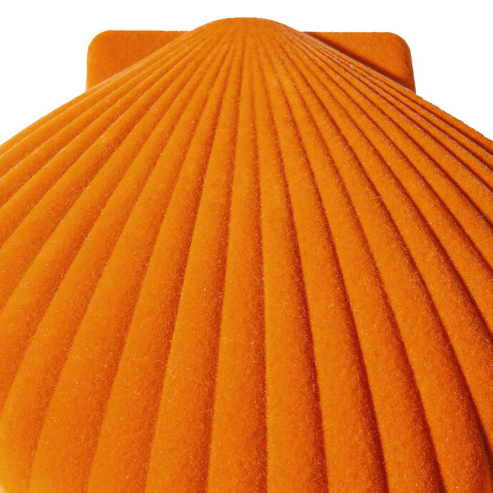 Achat Boîte à Bijoux Coquillage Venus - Orange