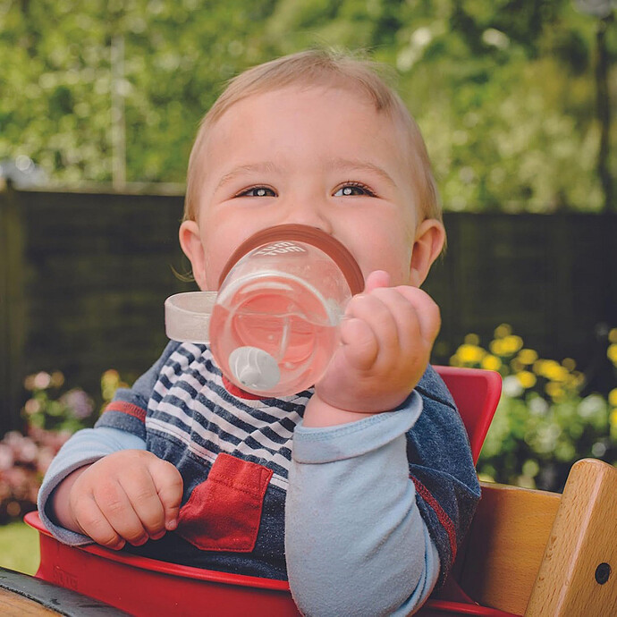 Avis Grande Tasse Anti-fuites et Paille Lestée V3 Renard - 300 ml