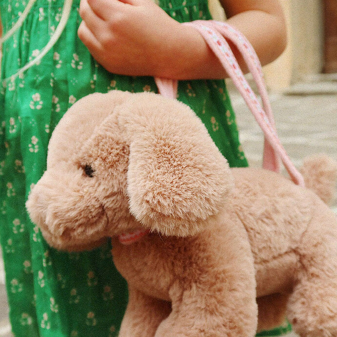 Sac à Main Chien - Brown pas cher