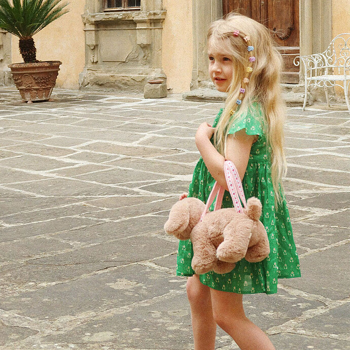 Avis Sac à Main Chien - Brown