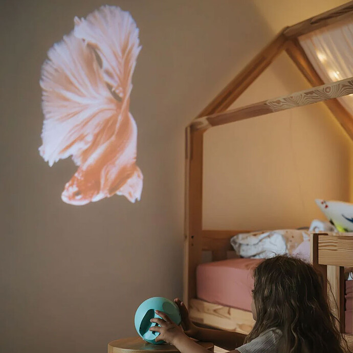 Avis Projecteur Kidystar