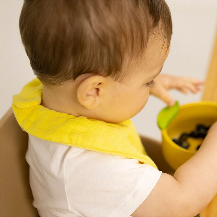 Avis Bavoir Lou le Citron