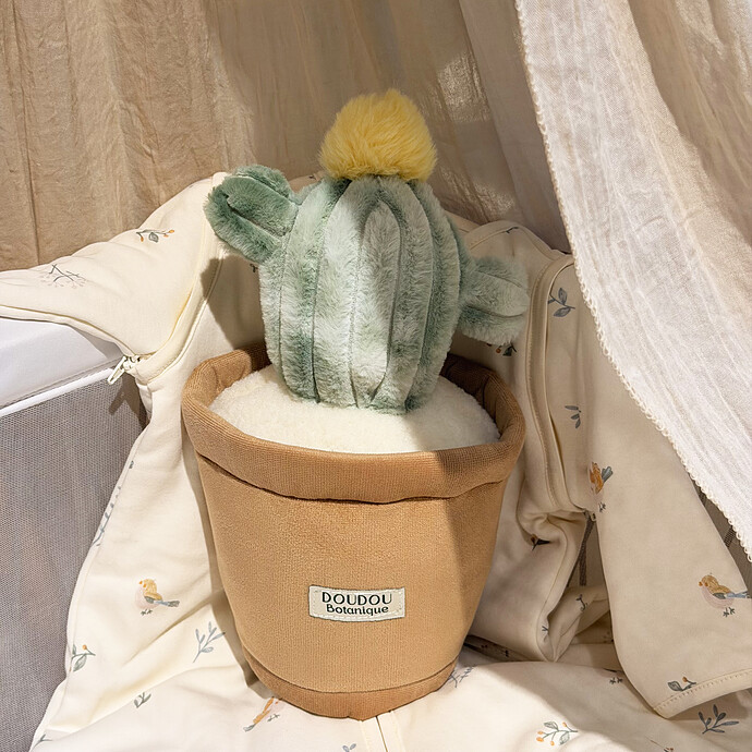 Peluche Fleur Cactus - 25 cm Doudou et Compagnie