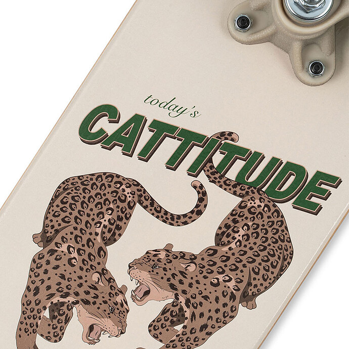 Skateboard - Cattitude pas cher