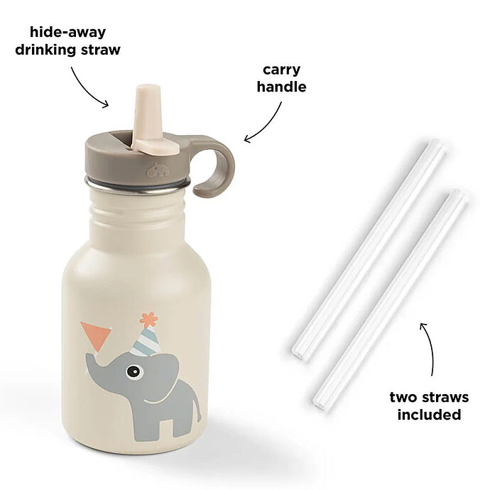 Avis Gourde Inox Celebration Sable - 350 ml